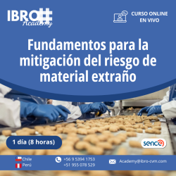 Fundamentos para la mitigación del riesgo de material extraño