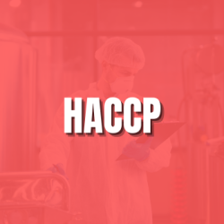 Cursos online | HACCP, sistemas de inocuidad